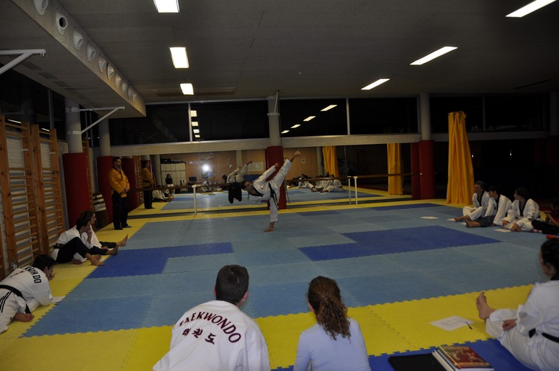 SEMINARIO POOMSAE Y FREESTYLE 2015